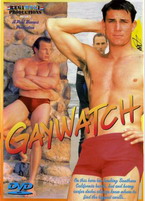 Gaywatch