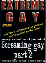 Screaming Gay 2