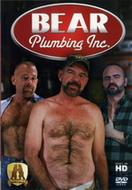 Bear Plumbing Inc