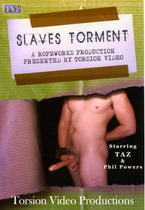 Slaves Torment