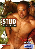 Stud Farm