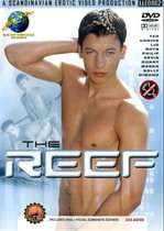 The Reef